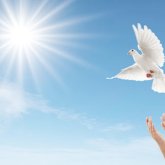 Зайырлылық –  тәртіптің тетігі