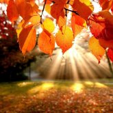 Елімізде күн қайта жылынады