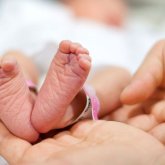 Зейнетақы жинағын ұрықтандыру процедурасы үшін де пайдалануға болады