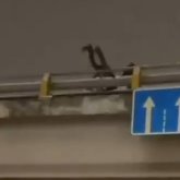 Нұр-Сұлтанда ер адам көпірден секірмек болды