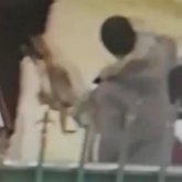 Ақтаудың жас жігіттері өлген итті ветеринарлық емхананың алдына тастап кетті (ВИДЕО)