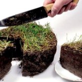 «Қытай азаматына тұрмысқа шыққан»: белгілі заңгер жерді неге жеке меншікке беруге болмайтынын түсіндірді