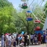 Қарағандыда саябақтағы жаппай төбелестен кейін екі орынбасарға сөгіс берілді