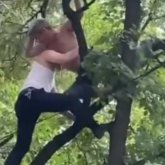 «Ол көгершіндермен дауласқан»: Ағаштың үстіне шығып алған мас ер адам жұрттың күлкісіне қалды