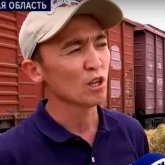 Ауыл шаруашылығы министрлігі Маңғыстауға шөп жеткізу үшін көмек сұрады