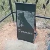 «Итті арулап жерлеген»: Ақмолалық тұрғынның әрекеті елдің наразылығын туғызды