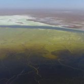 Маңғыстаулық белсенділер Президентке ашық хат жолдады