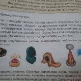 «Мектеп оқулығына хиджаптың суреті енген»: Ұстаздар Аймағамбетовке шүйлігіп жатыр