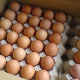 Жұмыртқа бағасы 21,5 пайызға қымбаттаған