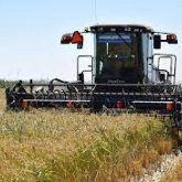 Биыл арпа мен бидай бағасы қанша болмақ?