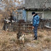 Нұр-Сұлтанда бір ай бұрын жоғалған 17 жастағы қыз табылды