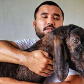 «Бір қошқарымды 1 млн 700 мың теңгеге саттым»: Журналист асыл тұқымды қошқар өсірудің сырымен бөлісті