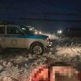 Барымташы құны 7 мың доллар тұратын асыл тұқымды жылқыны атып тастаған