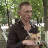 Қарағандылық сиқыршы көп қабатты үйінде түлкі асырап отыр