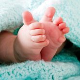 Алматы перзентханасында 6 келі «Алпамыс» дүниеге келді