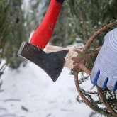 «Мереке екен деп шыршаны қырқу ата дәстүрімізде болмаған» - сенатор