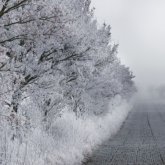 Жеті өңірде дауылды ескерту жарияланды