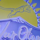 «Д.Назарбаева, А.Мамин және Б.Байбектер тізімде жоқ»: Nur Otan партиясы Саяси кеңесінің жаңа құрамы бекітілді