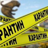 Карантин жеңілдетілді: ПТР міндеттелмейді, қашықтан жұмыс істеу тоқтатылады