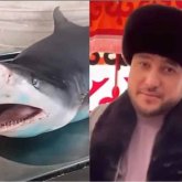 Әбдіжаппар Әлқожа ұлдарының тойына АҚШ-тан акула алдыртып сойған
