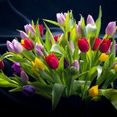 Қазақстанға  бір тоннадан астам гүл әкелінді