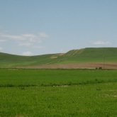 Пайдаланылмай жатқан кепілдегі ауыл шаруашылығы жерлері тартып алынады