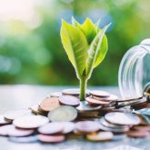 Жасыл экономика – Қазақстанның инновациялық және тұрақты даму парадигмасы