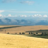 Қазақстанда пайдаланылмай жатқан жерлер спутник арқылы анықталады