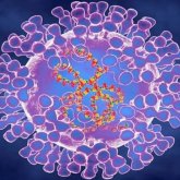 ДДСҰ маймыл шешегінің өршуіне байланысты шұғыл отырыс шақырды