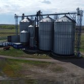 Отандық ұн өндірушілер өндірісті Ресейге ауыстырғысы келеді