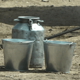 «Жаппай уланып жатырмыз»: Түркістан облысының тұрғындары әлі күнге дейін кәріз суын ішіп отырғандарын айтып шу шығарды