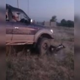 Алматы облысында жылқыны көлікпен әдейі басқан жүргізушіге қатысты іс қозғалды