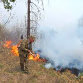 Жер-жердегі өрт диверсия ма? Депутаттар не дейді?