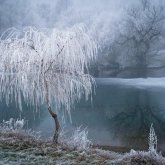 Назарбаев саябағында тылсым оқиға болды