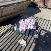 Таразда қоқыс жәшігінің жанынан нәрестенің мәйіті табылды