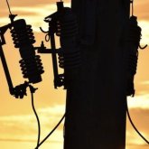 Таразда төрт жасар баланы тоқ соқты