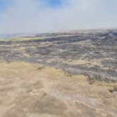 Балқаштағы өрт 6 мың гектарға дейін жетті - ТЖМ