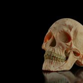 Өскеменде адамның бассүйегі табылды