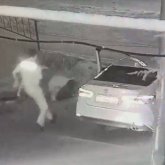 Хромтауда өтіп бара жатқан адамға оқ атқан бұзақы ұсталды