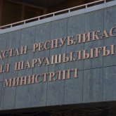 Ауыл шаруашылығы вице-министрі қызметінен босатылды