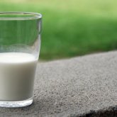 Қымыз алкотест нәтижесіне әсер ете ме