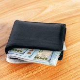 Елордада Хорватия елшісі қомақты қаражатын жоғалтып алған