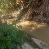 Шымкентте каналдан екі бүлдіршіннің мәйіті табылды