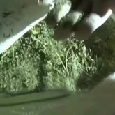 Жамбылдық тұрғыннан 50 келіден астам есірткі тәркіленді