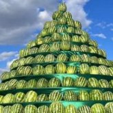 Шенеунік Тәжікстан жәрмеңкесін тонағандардың қазақтар екенін жоққа шығарды