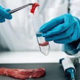 Ақмола облысында ойықжара жұқтырған бірнеше адам ауруханаға жеткізілді