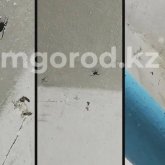 «Балаларды шаға ма деп қорқамыз»: Оралдықтар дабыл қақты