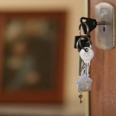 Елімізде баспана алу және жалға беру бағасы өсті