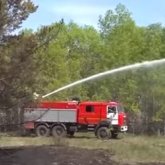 «49 жыл бұрын шығарылған техника»: Семейде орманшылар басшылыққа шағымданды (ВИДЕО)
