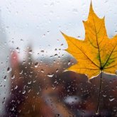 «Жаңбыр жауады, жел күшейеді»: Бүгін ауа райы қандай болады?